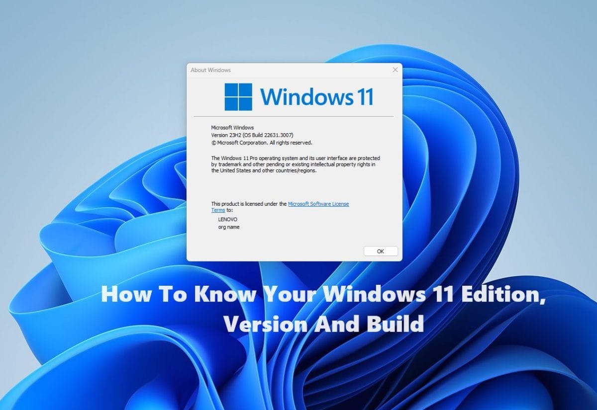 How To Know Your Windows 11 Edition, Version And Build